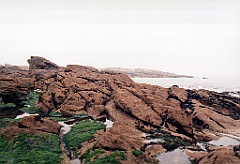 1996 - Bretagne 01 (Quiberon - Avril 1996))